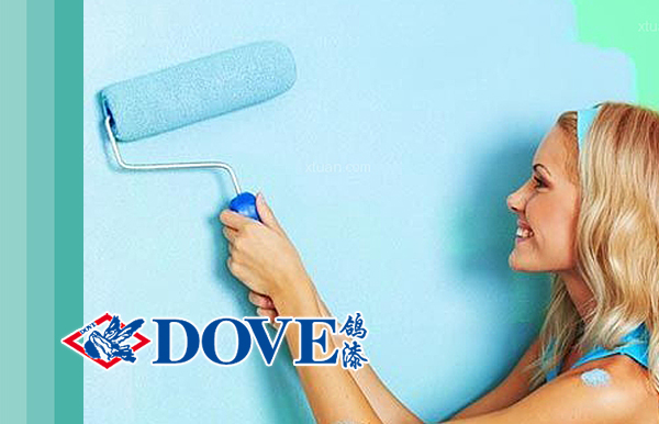 <b>DOVE鸽漆</b>
