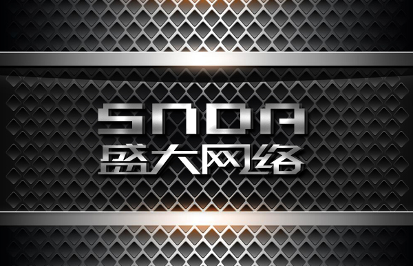 盛大网络111111
